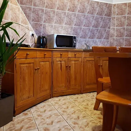 Apartament 70M2 Z 3 Pokojami Na Poddaszu - Blisko Butorowego Wierchu Koscielisko Exterior photo