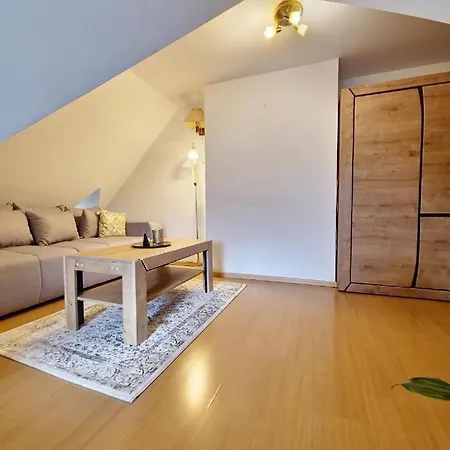 Apartament 70M2 Z 3 Pokojami Na Poddaszu - Blisko Butorowego Wierchu Koscielisko Exterior photo